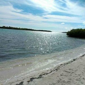 Meet your Posher, Orlando